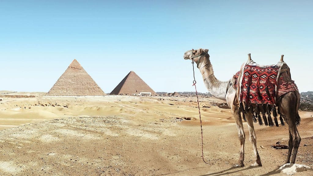 Egypt 12/23/2026