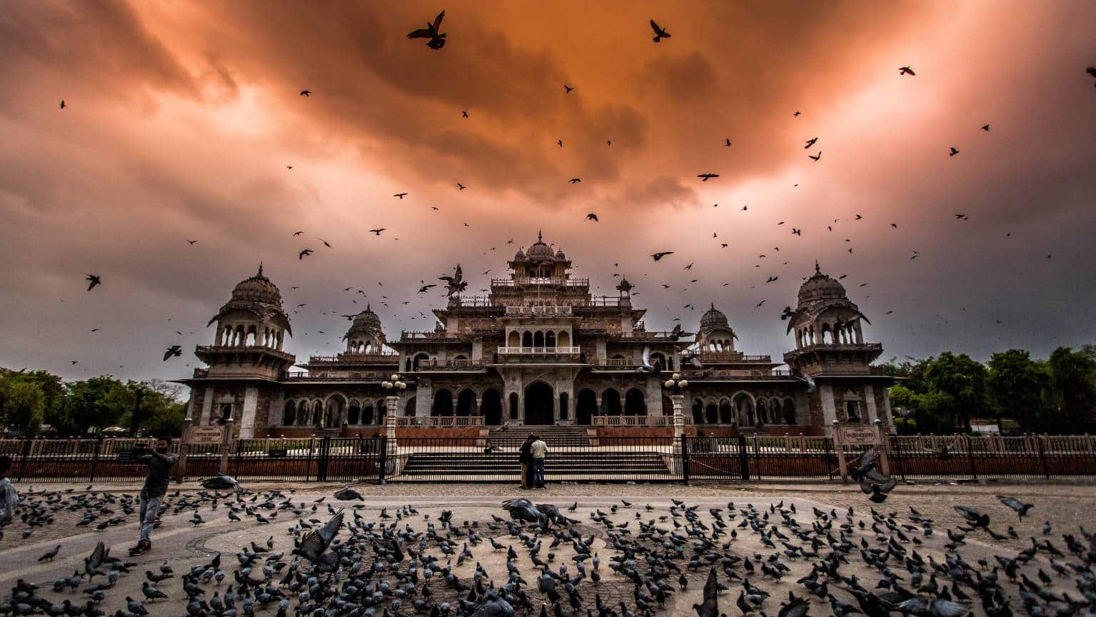 IndiaNepal-Josh-Beecher-Pigeon-Palace