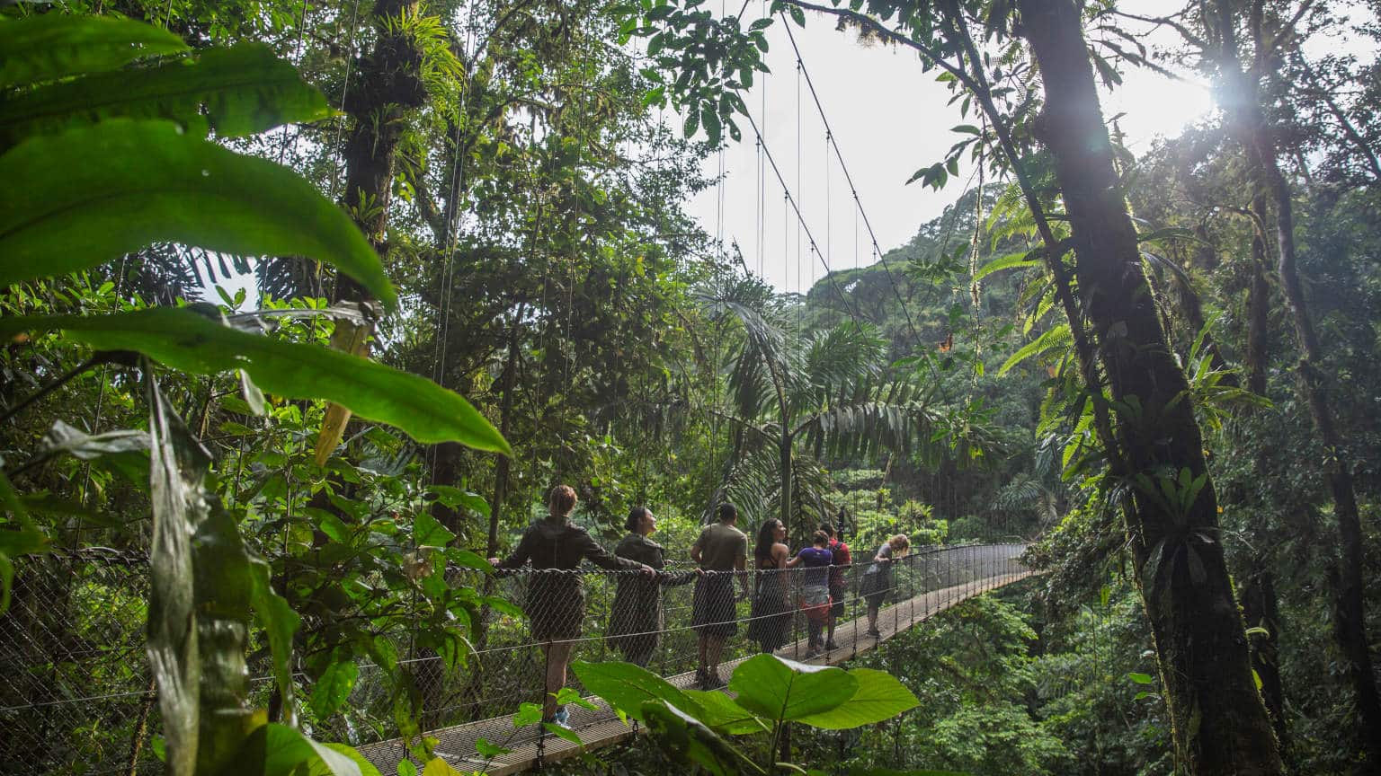 Costa-Rica-La-Fortuna-Suspension-Bridge-Jungle