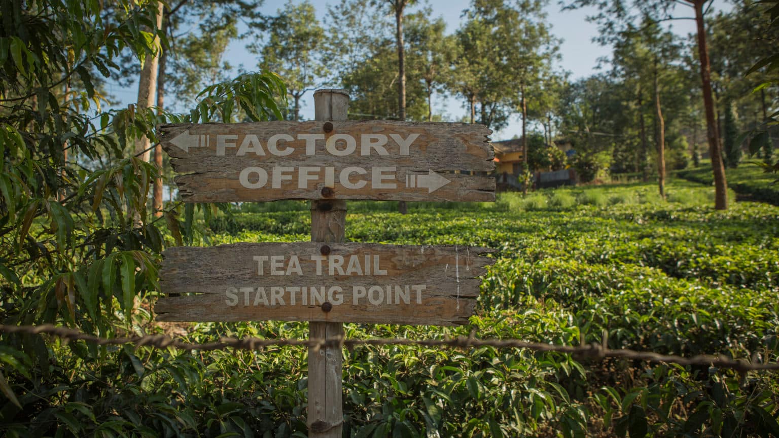 India Thekaddy Tea Plantation Sign Cropped