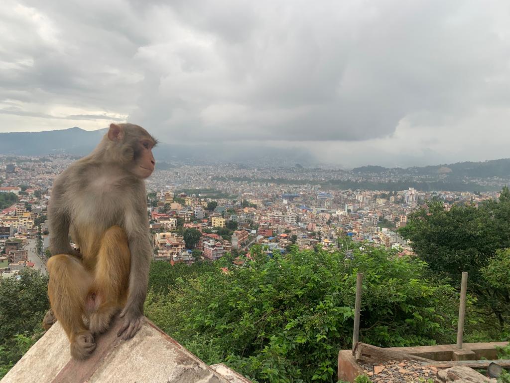 Photo Credit: Shelley W.